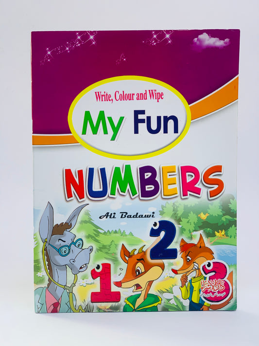 WRITE COLOUR AND WIPE MY FUN NUMBERS BOOK