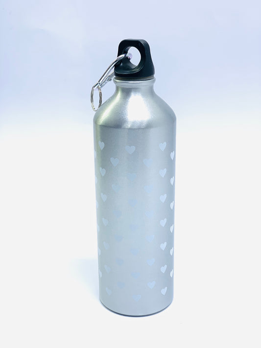 SILVER STEEL WATER BOTTLE\