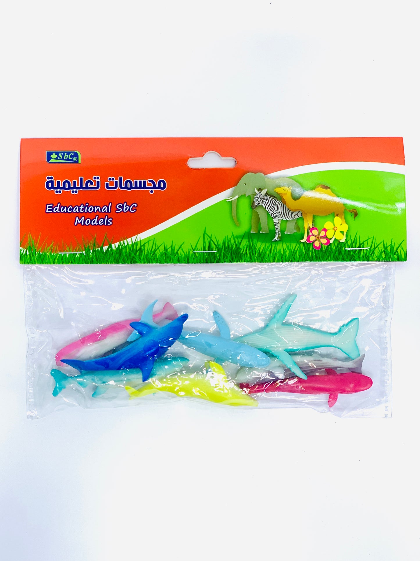 EDUCATIONAL SBC MODELS FISH