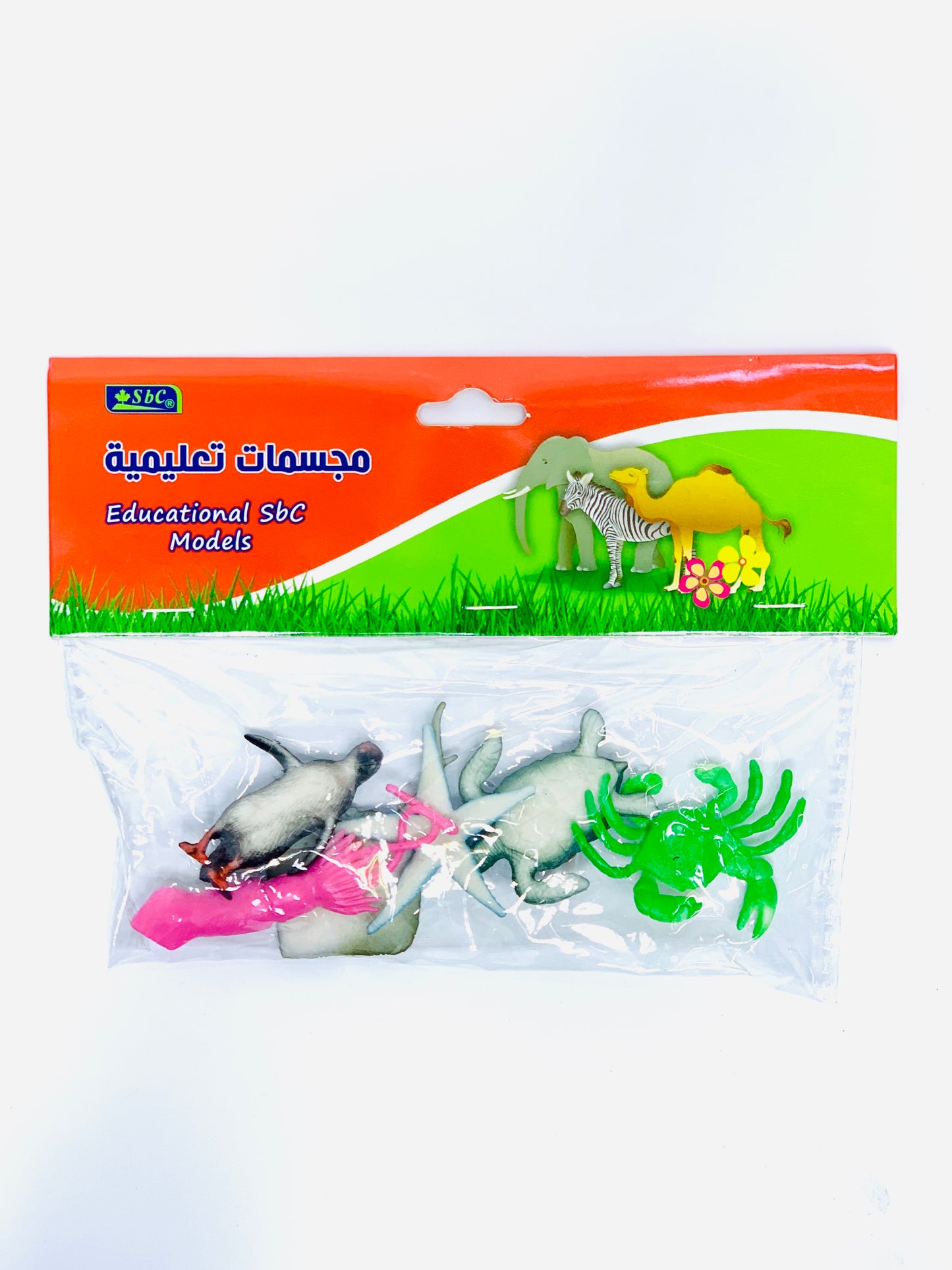 SBC EDUCATIONAL MODELS ANIMALS