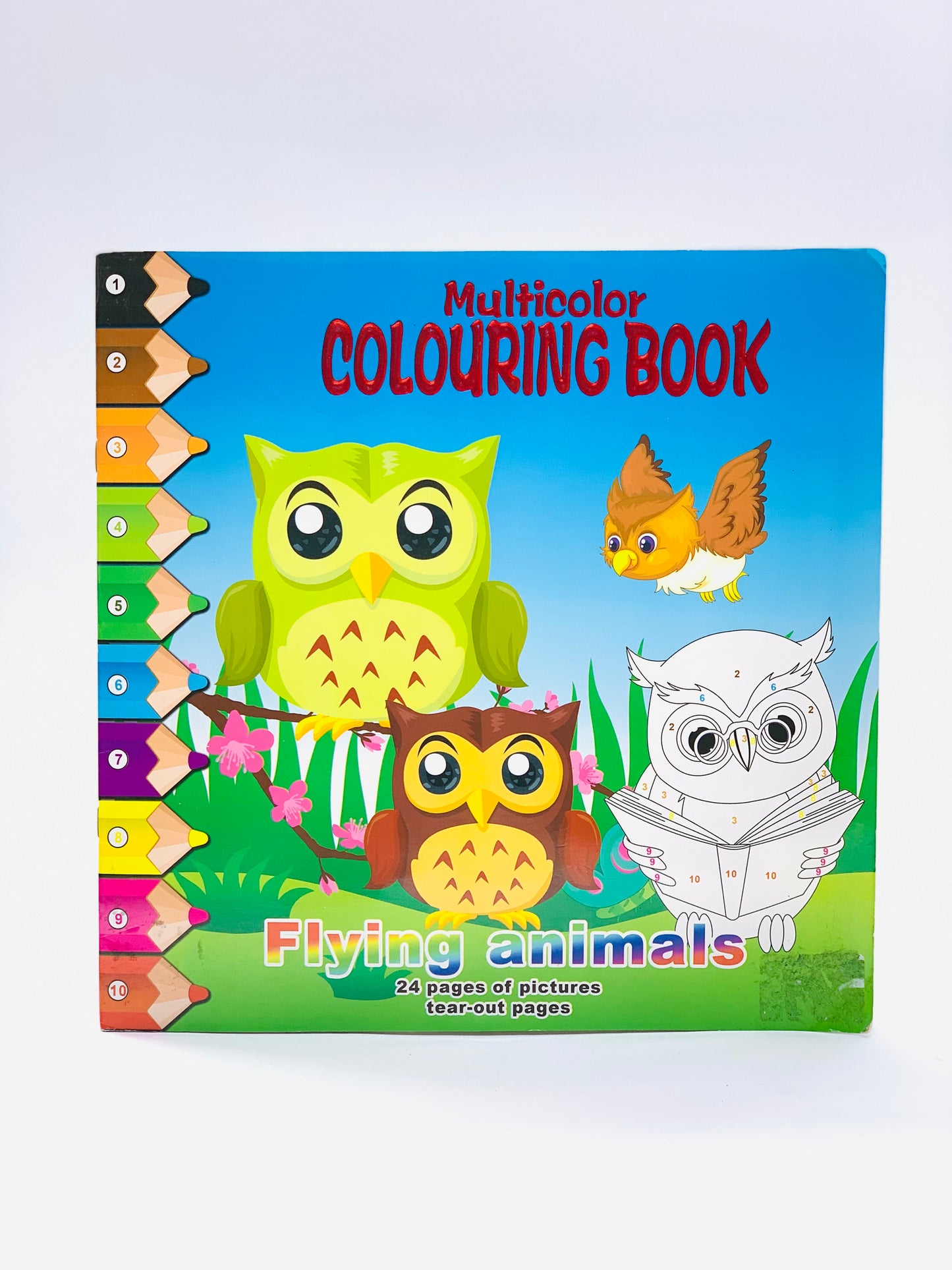 FLYING ANIMALS MULTICOLOR COLORING BOOK