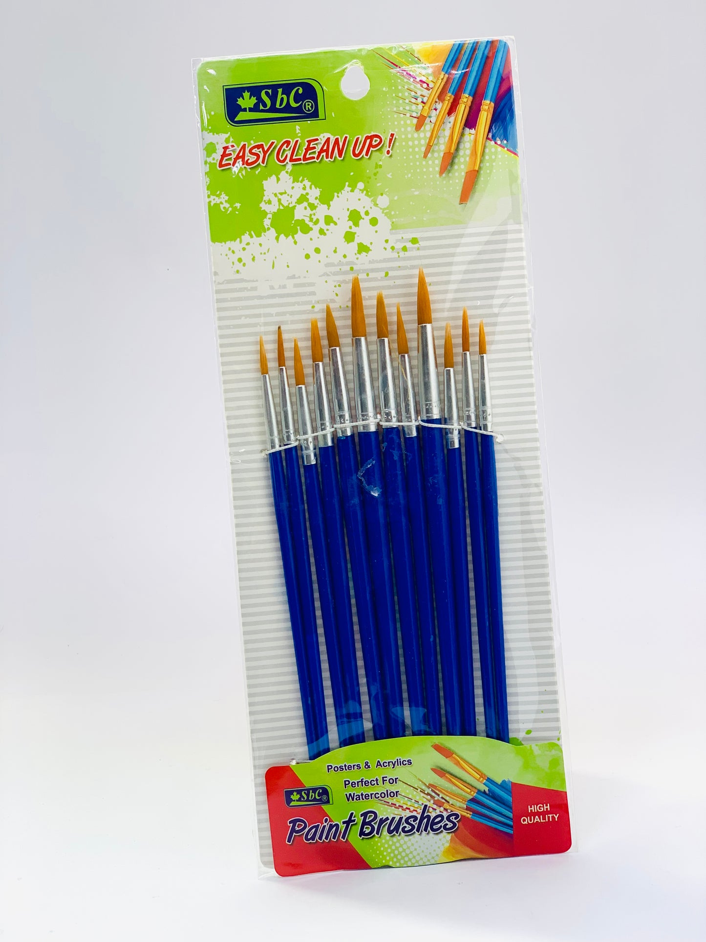 SBC PAINT BRUSH 12PCS