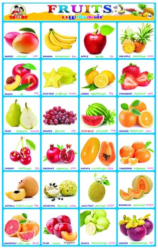 fruits sticker sheet