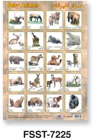 fis baby animals sticker sheet